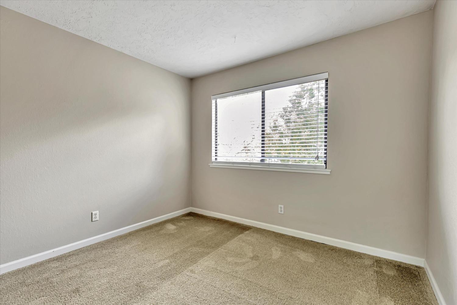 Photo #39: 223108171 Listing: Photo #39