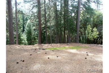Photo of 25350 Sugar Pine Dr in Pioneer, CA