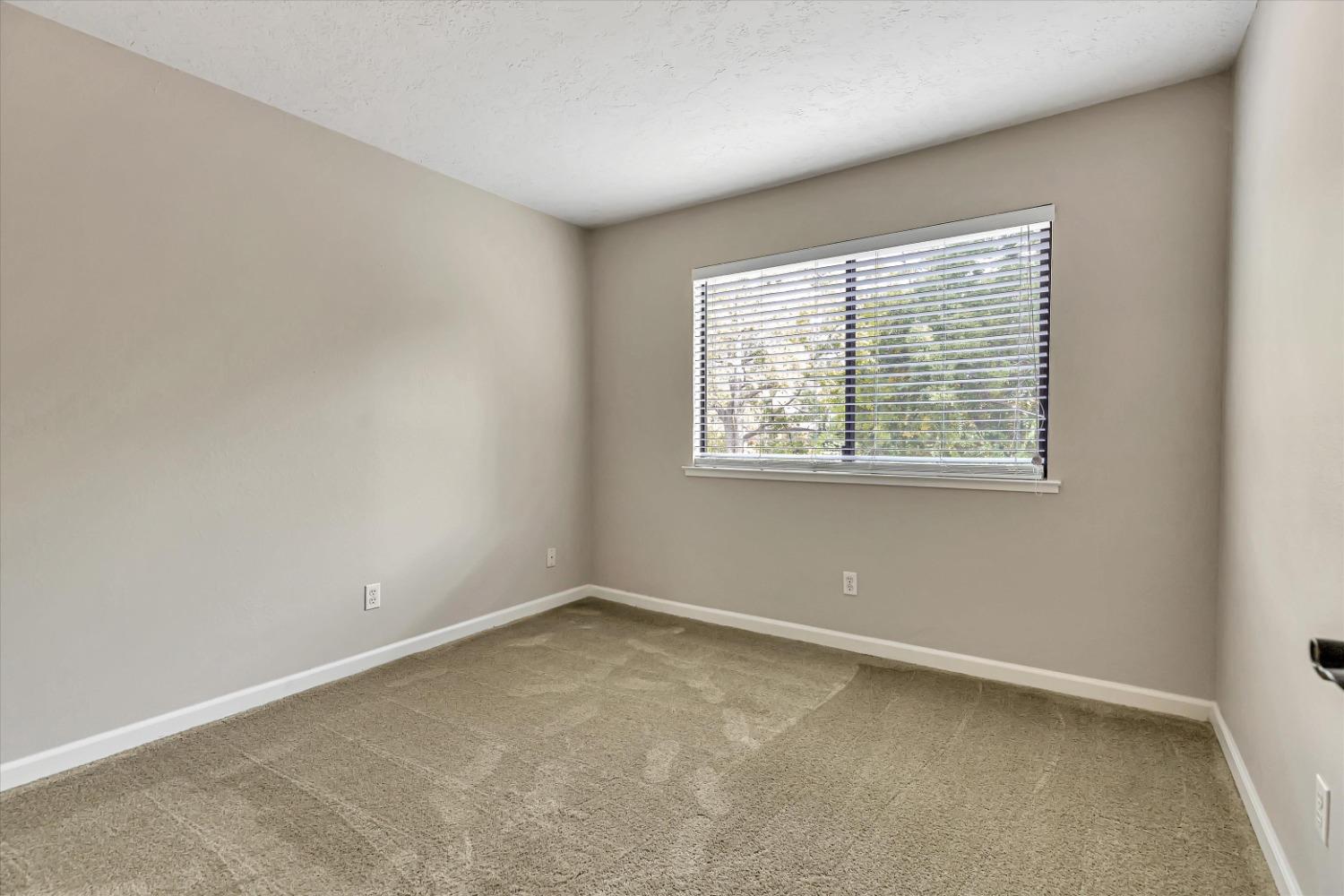 Photo #31: 223108171 Listing: Photo #31