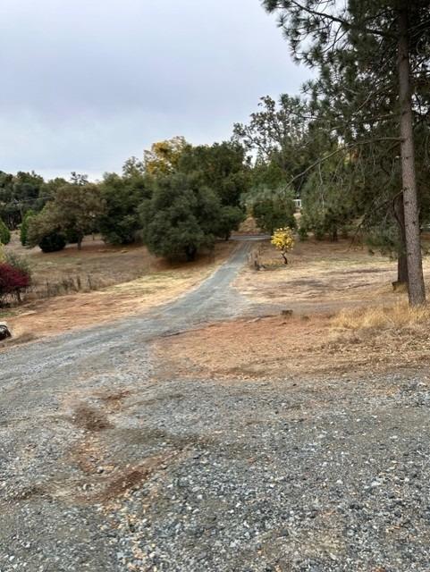 Tuolumne Road, Sonora, California image 10