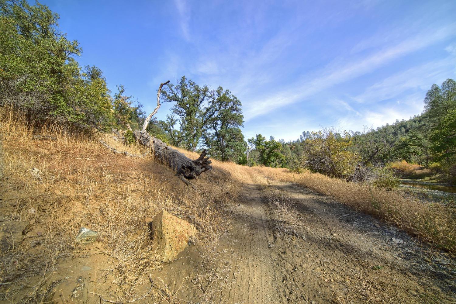 Red Bank Road, Red Bluff, California image 19