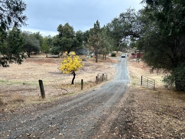 Tuolumne Road, Sonora, California image 14