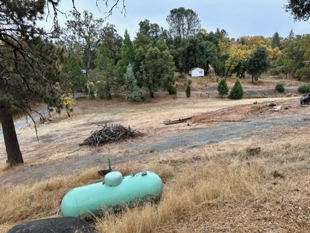 Tuolumne Road, Sonora, California image 6