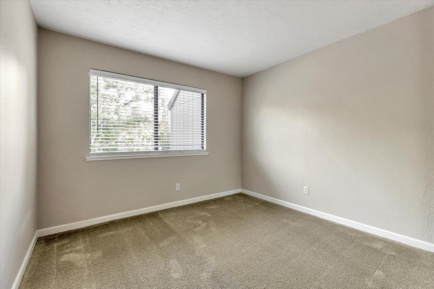 Photo #36: 223108171 Listing: Photo #36