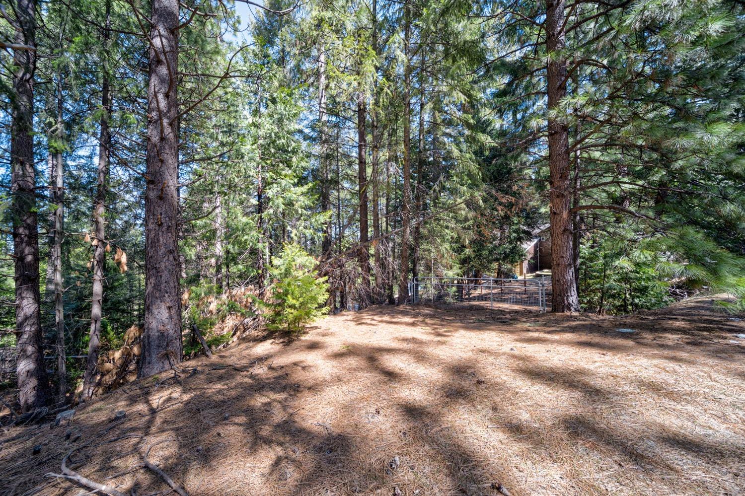 Photo of 6995 Pioneer Dr in Grizzly Flats, CA