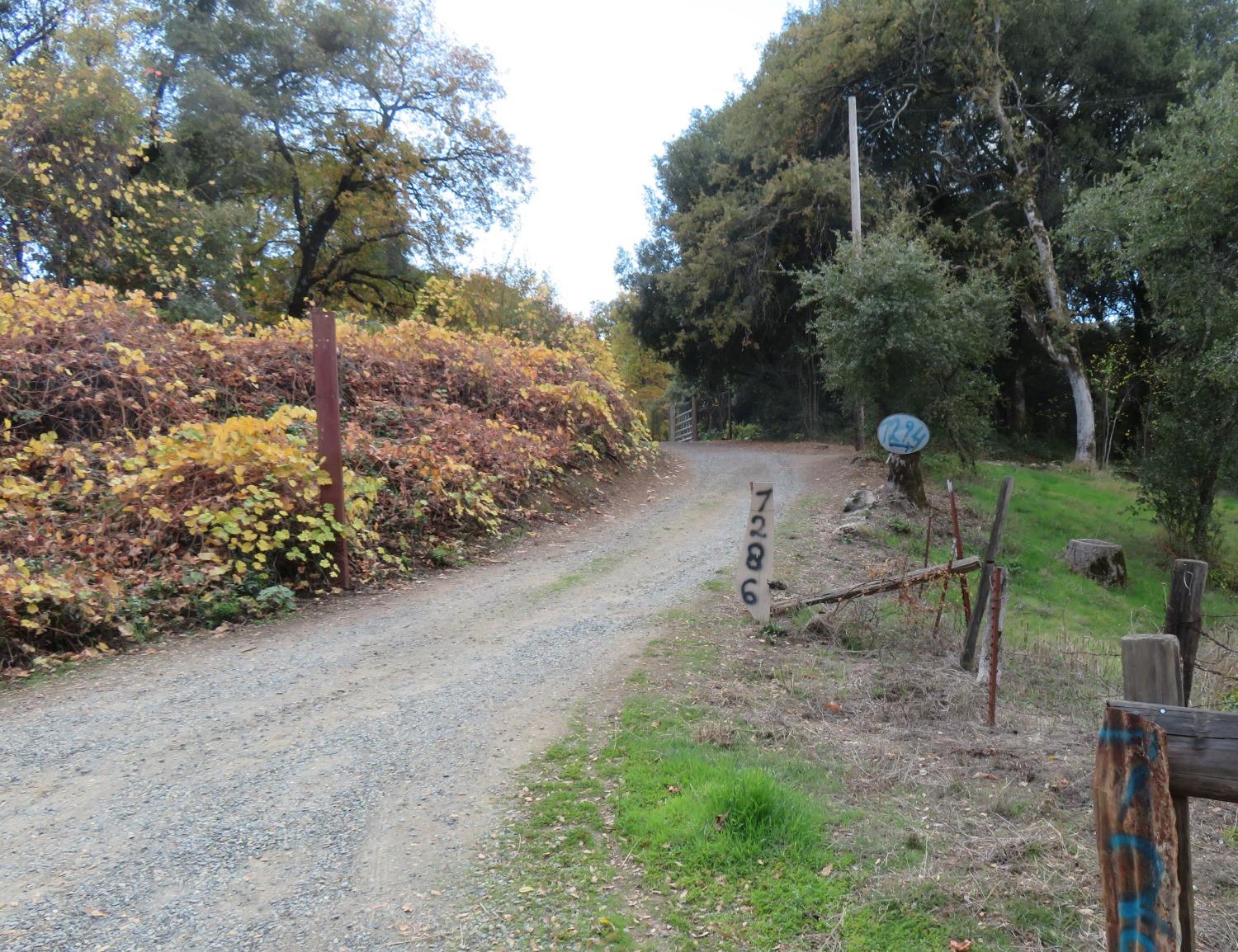 La Porte Road, Rackerby, California image 35