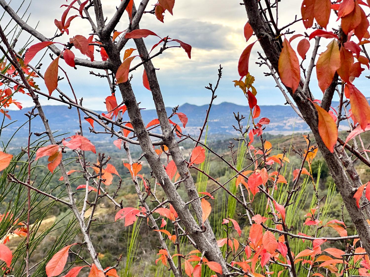 Old Gulch Road, Mountain Ranch, California image 29