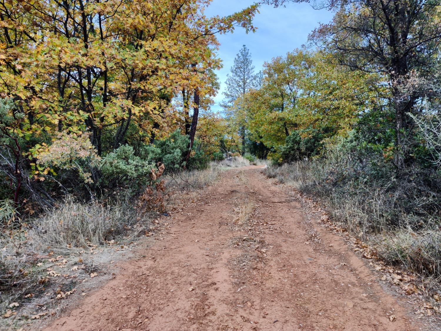 Pecan Lane, Dobbins, California image 11