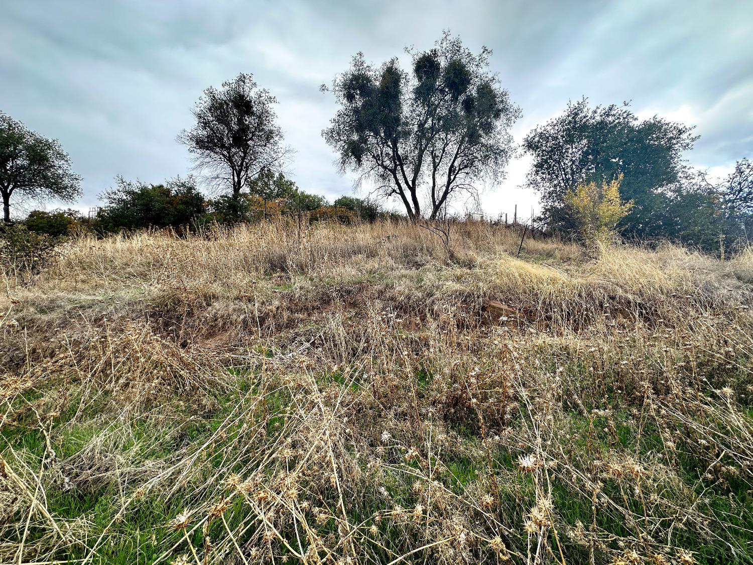 Old Gulch Road, Mountain Ranch, California image 35