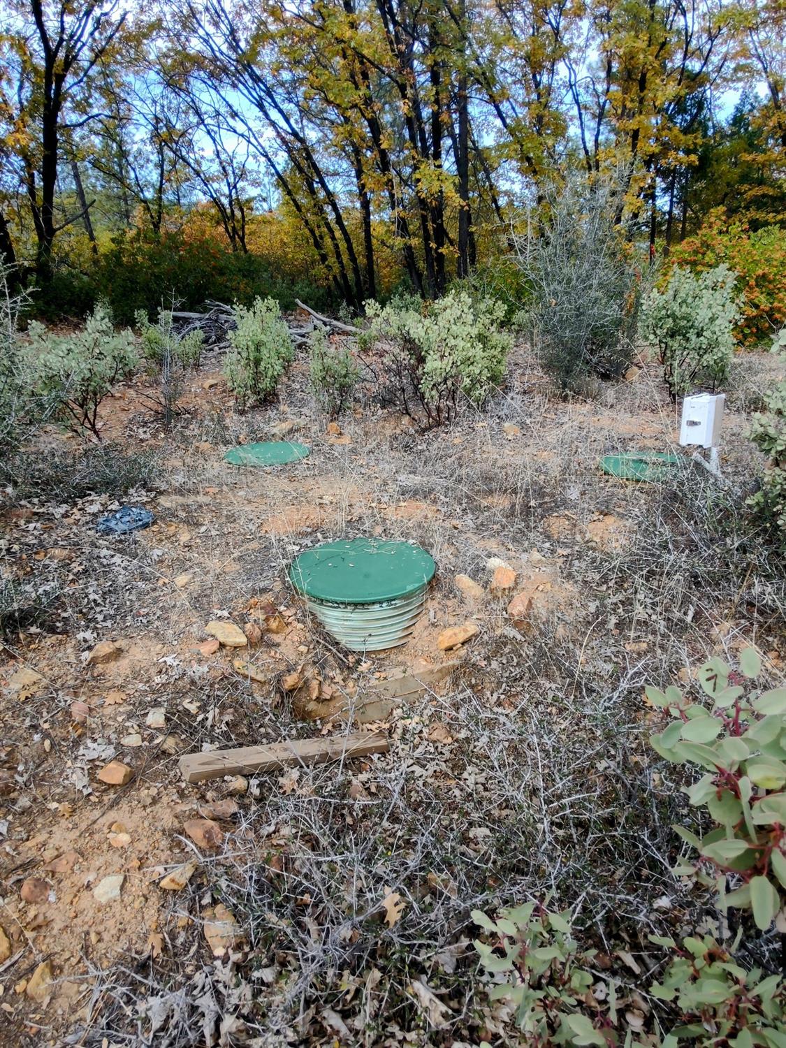 Pecan Lane, Dobbins, California image 3