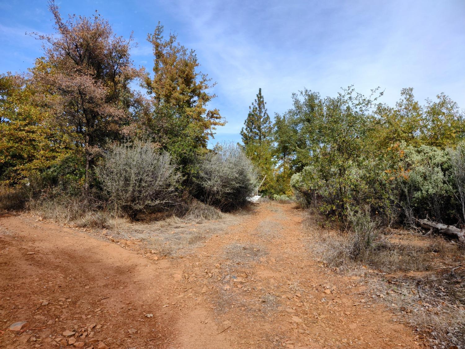 Pecan Lane, Dobbins, California image 12