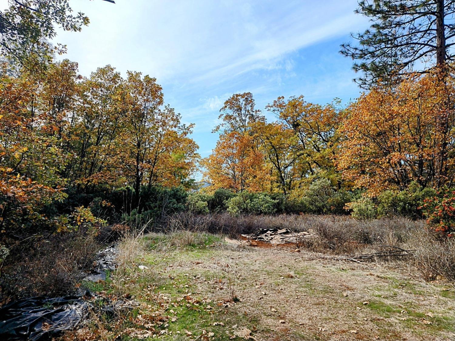 Pecan Lane, Dobbins, California image 16