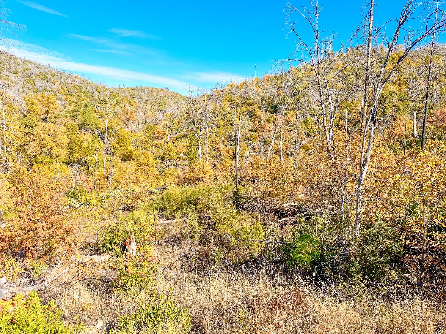 Avenue A, Mountain Ranch, California image 4