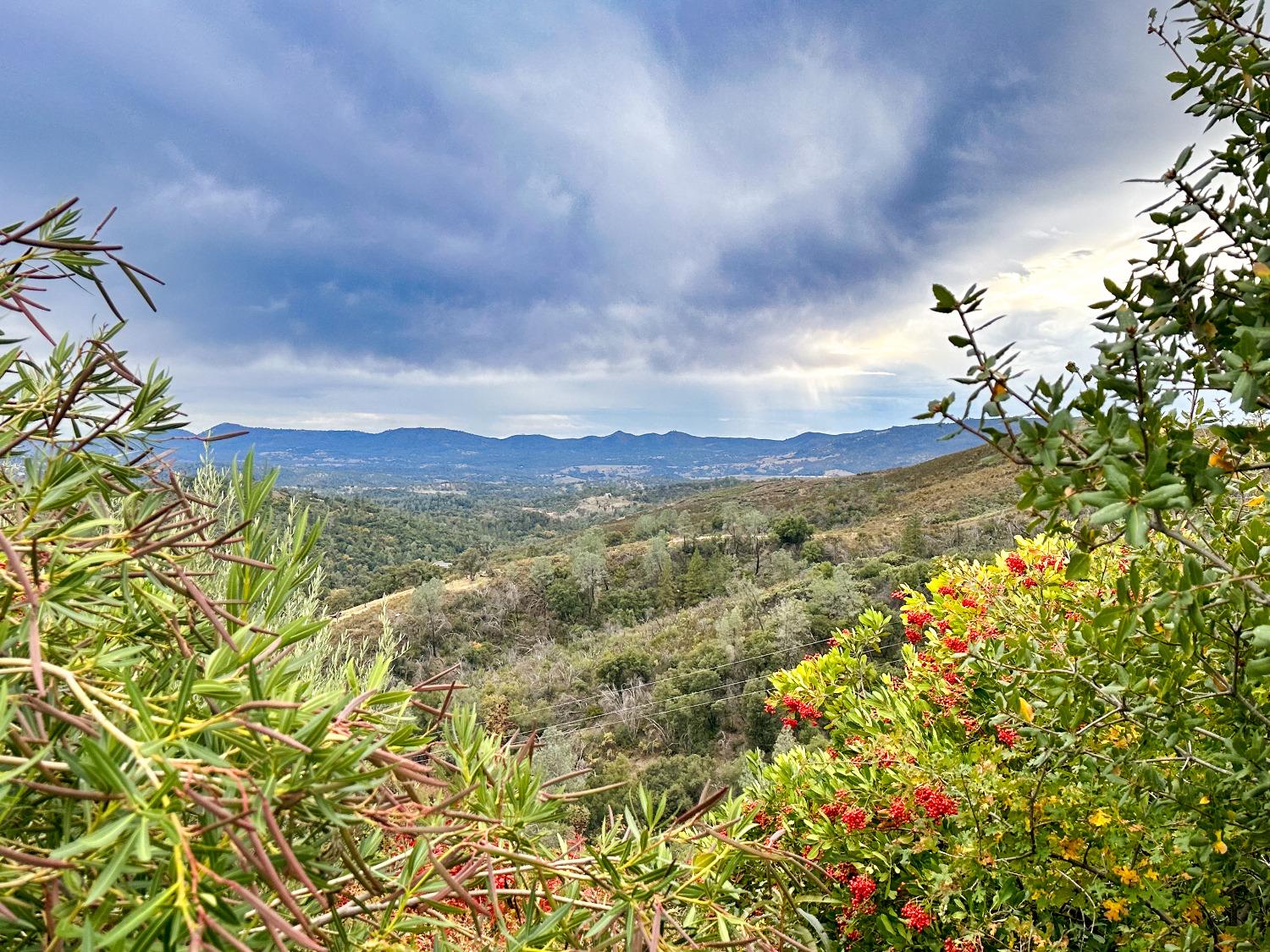 Old Gulch Road, Mountain Ranch, California image 8