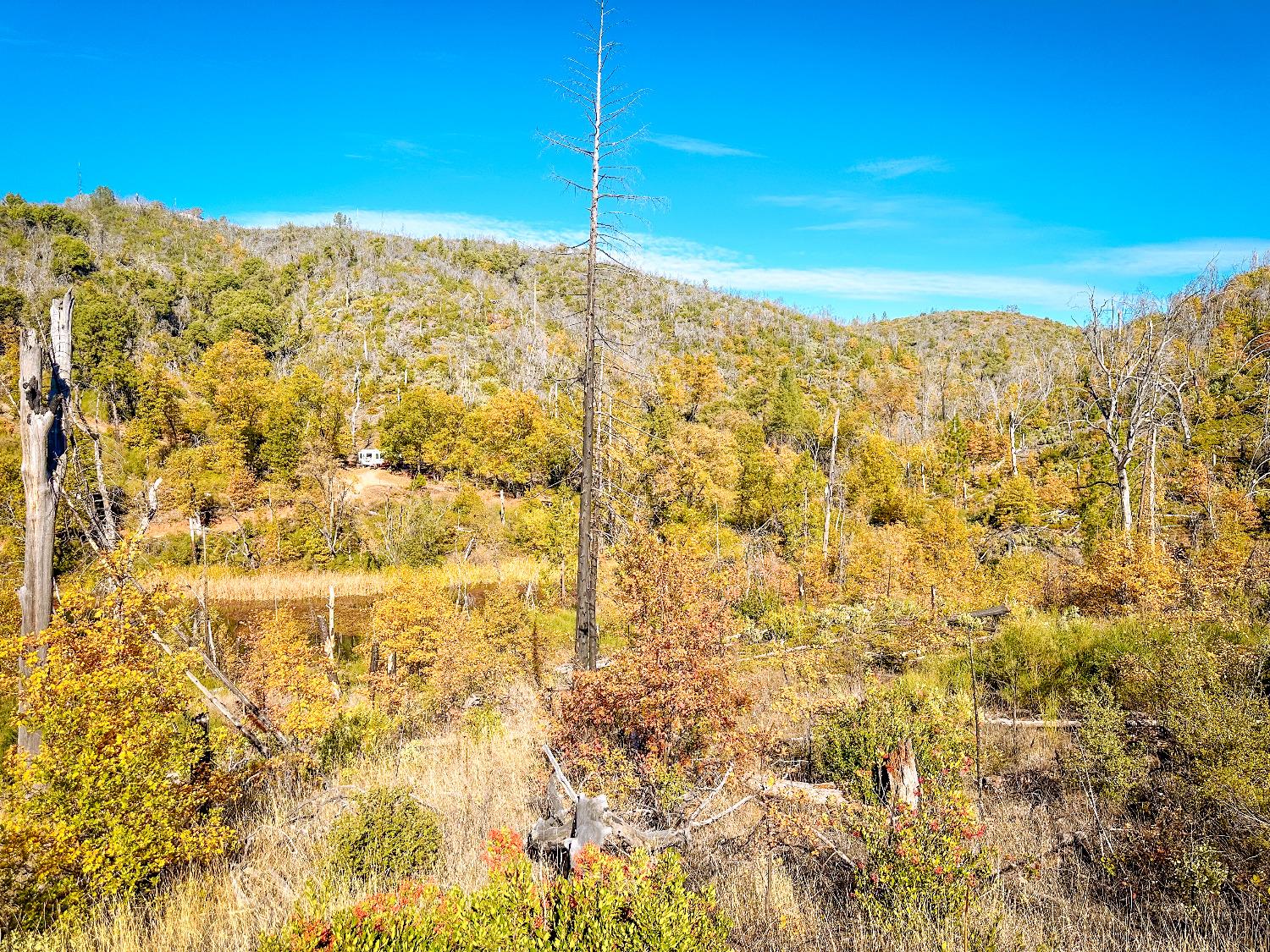 Avenue A, Mountain Ranch, California image 6