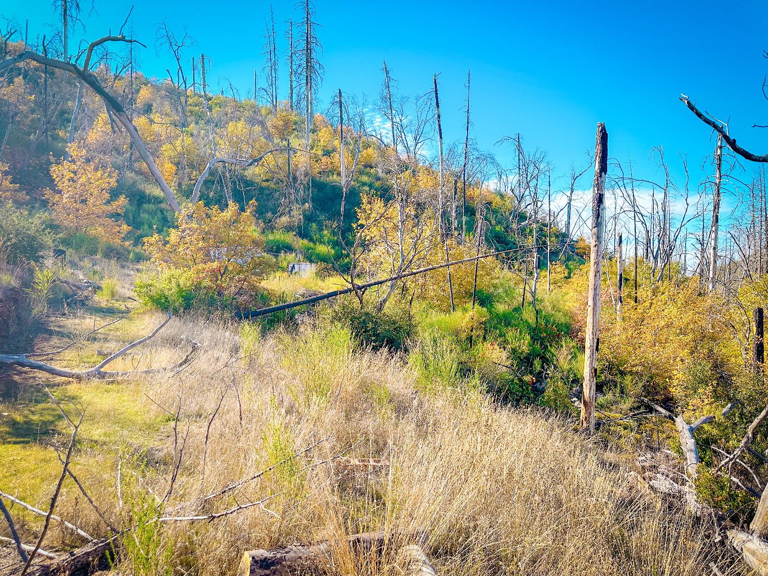 Avenue A, Mountain Ranch, California image 7