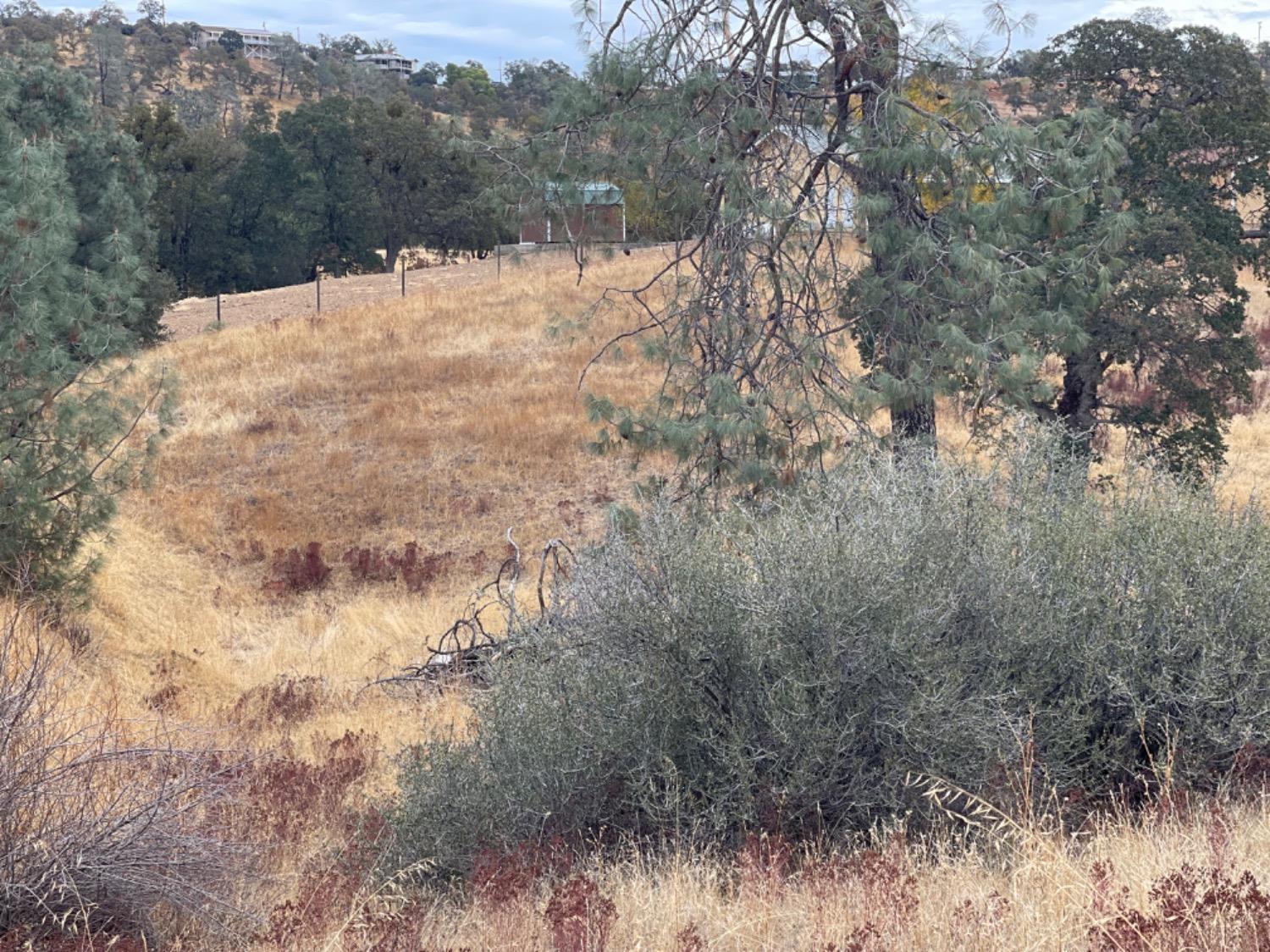 Isabel Way, La Grange, California image 3