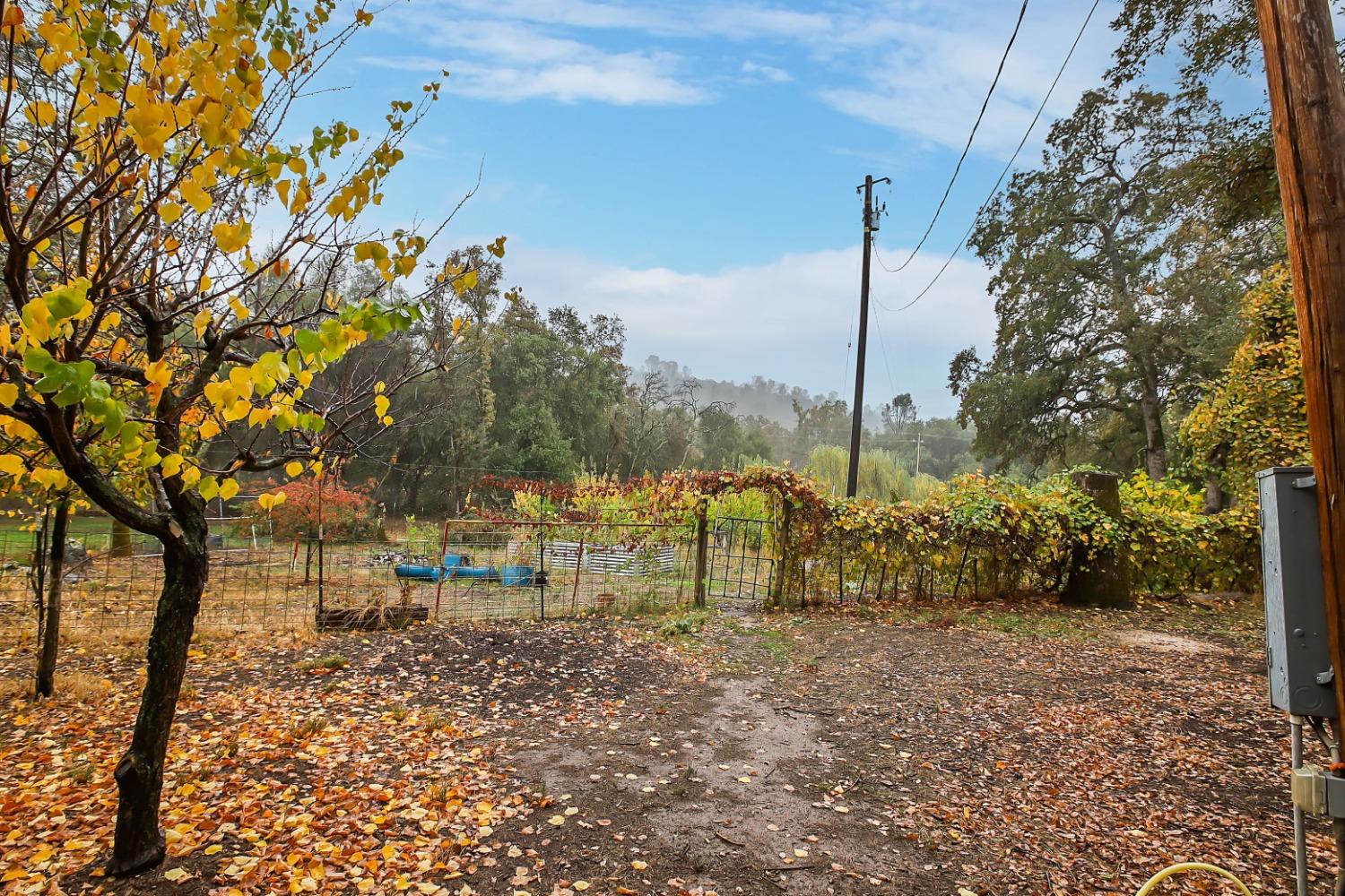 Redhill Road, Browns Valley, California image 10