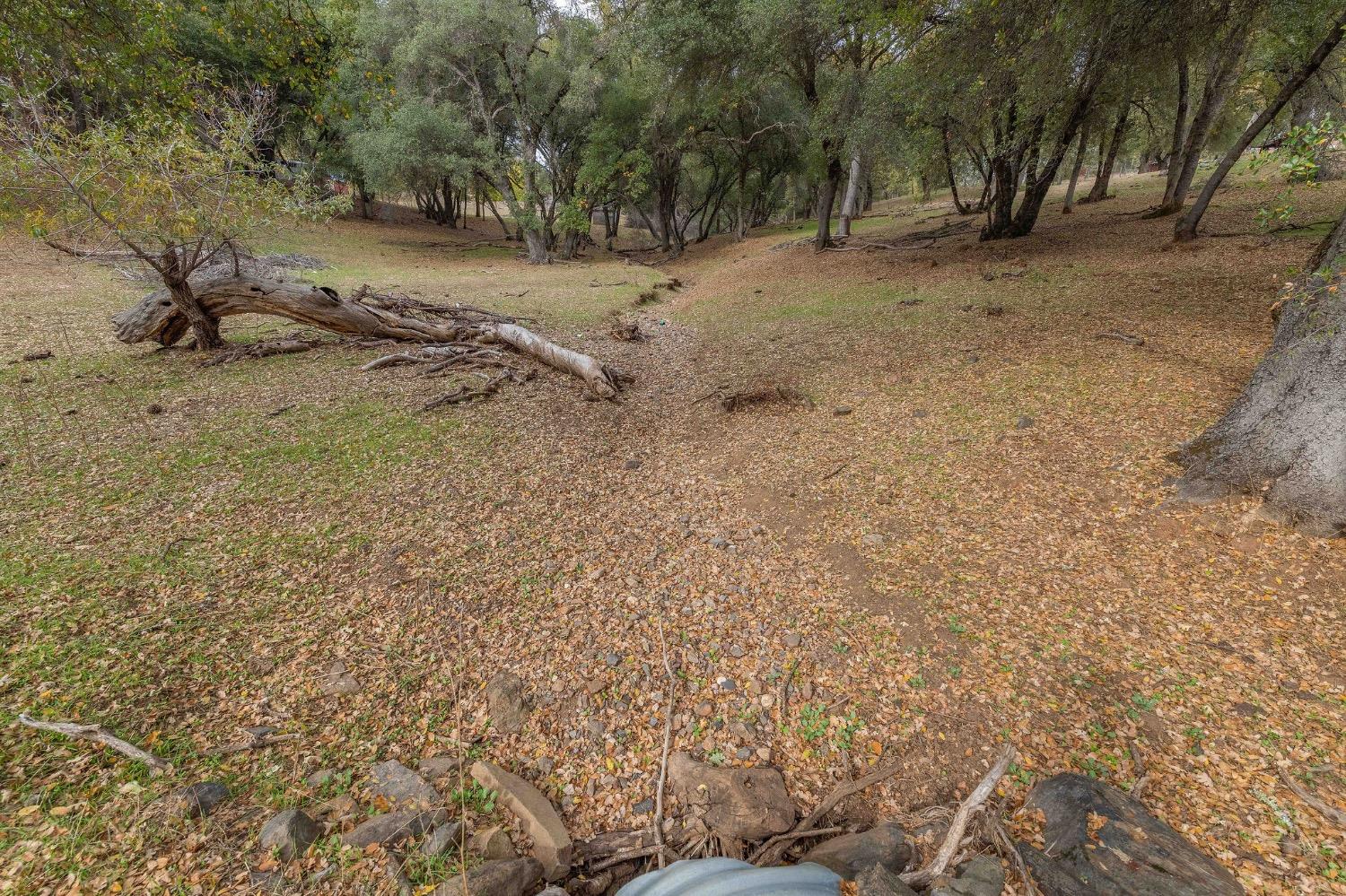 Cave City Road, Mountain Ranch, California image 29