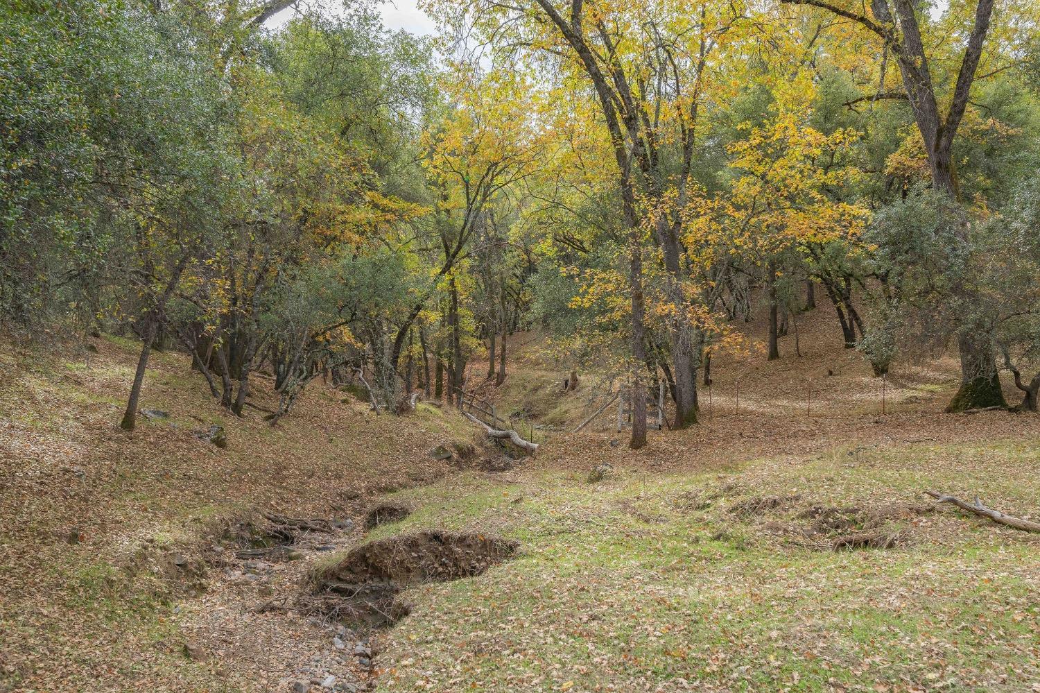 Cave City Road, Mountain Ranch, California image 30