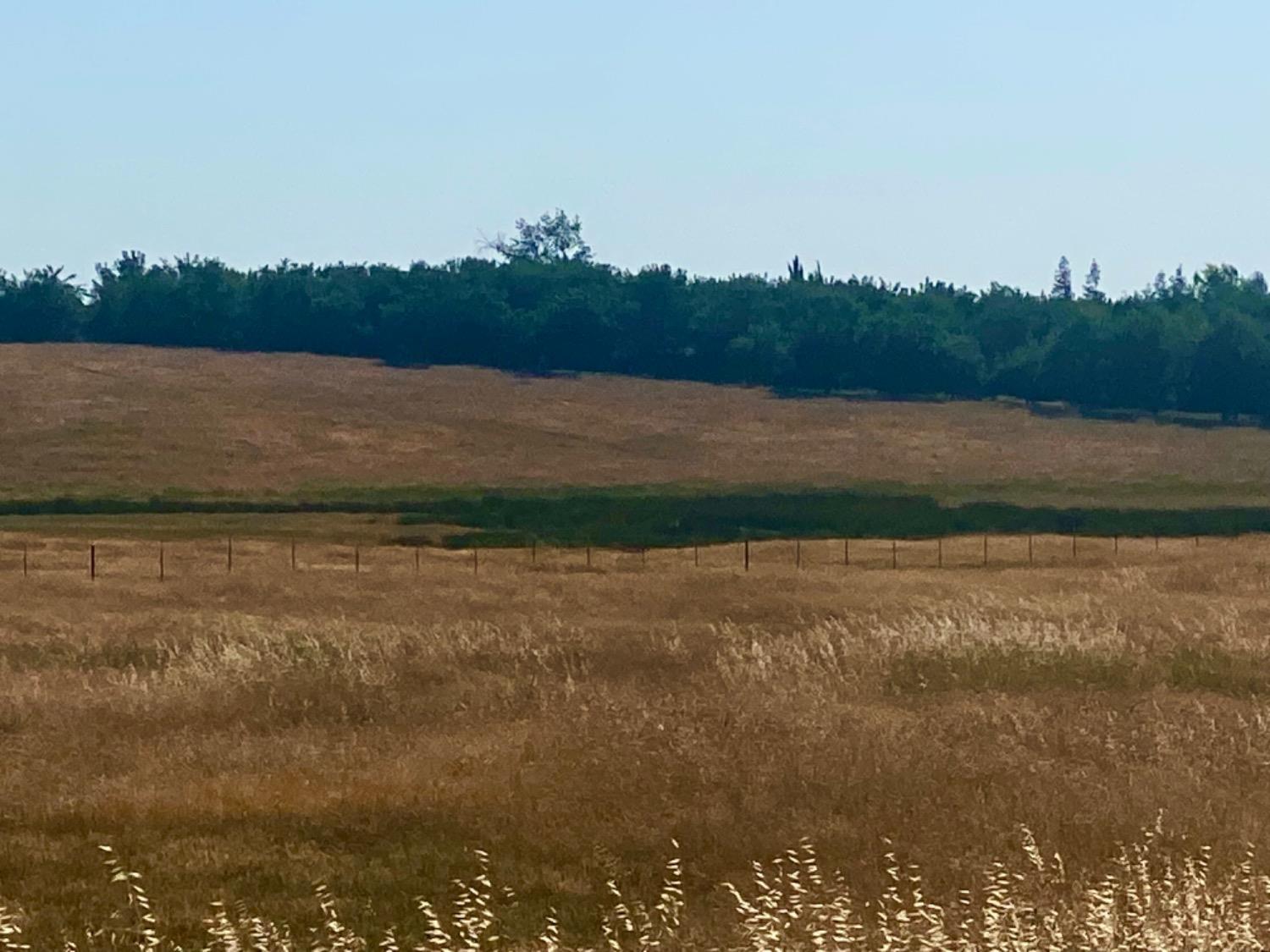 Fields, Snelling, California image 2