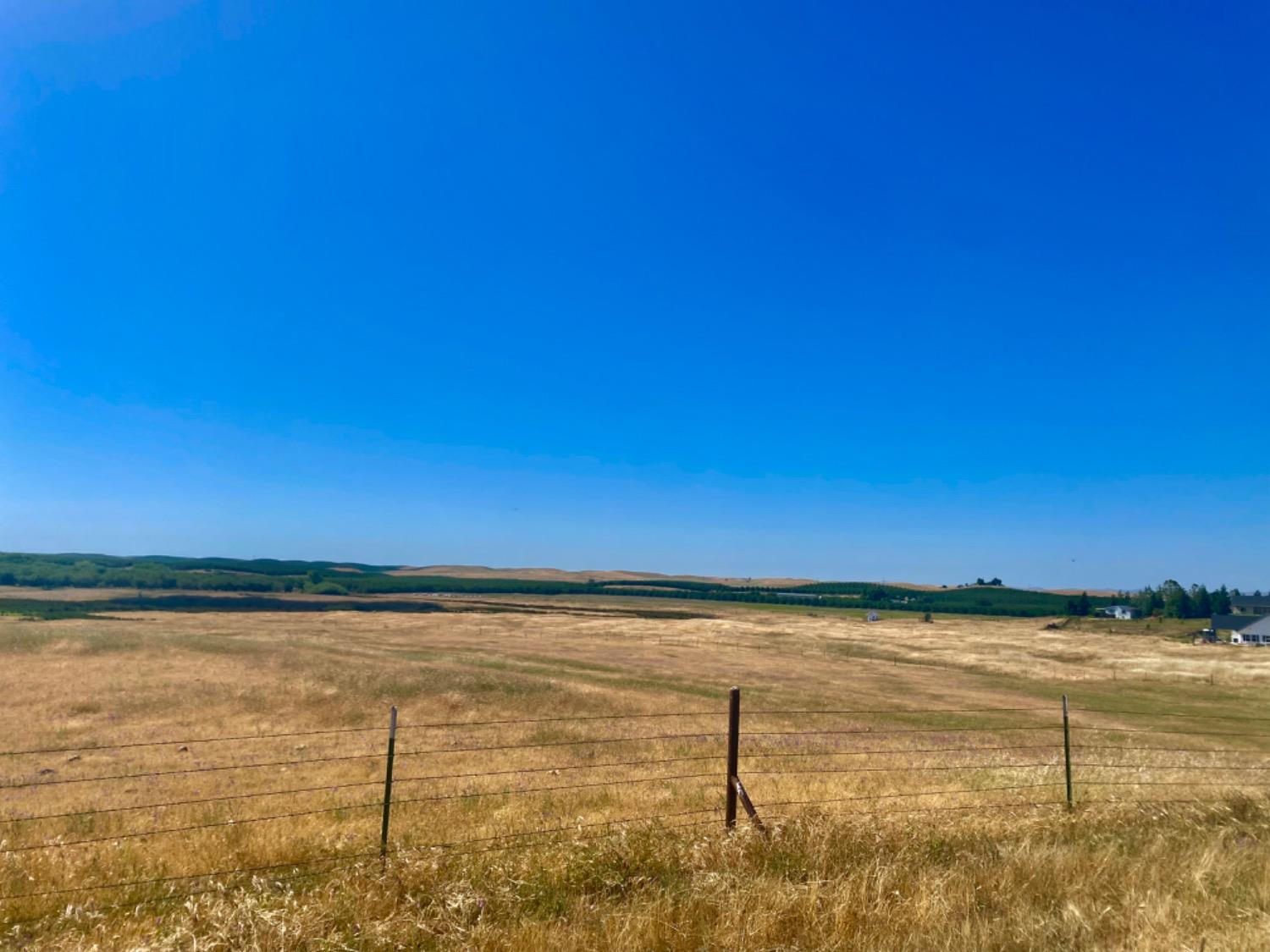 Fields, Snelling, California image 3