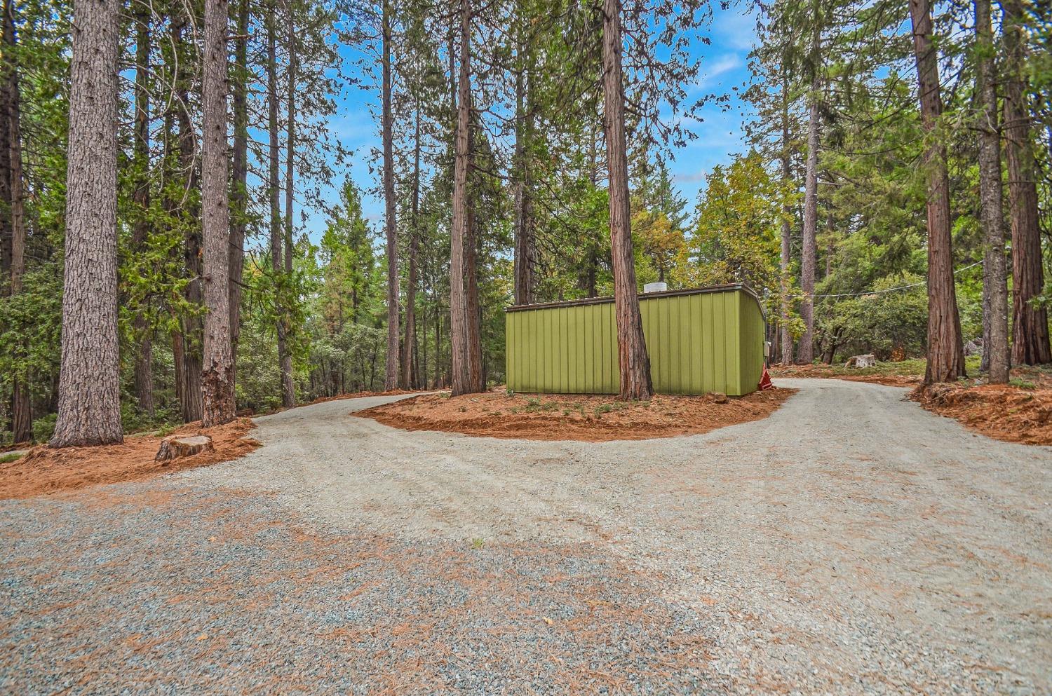 Detail Gallery Image 7 of 44 For 18625 Gold Creek Trail, Volcano,  CA 95689 - 2 Beds | 1 Baths