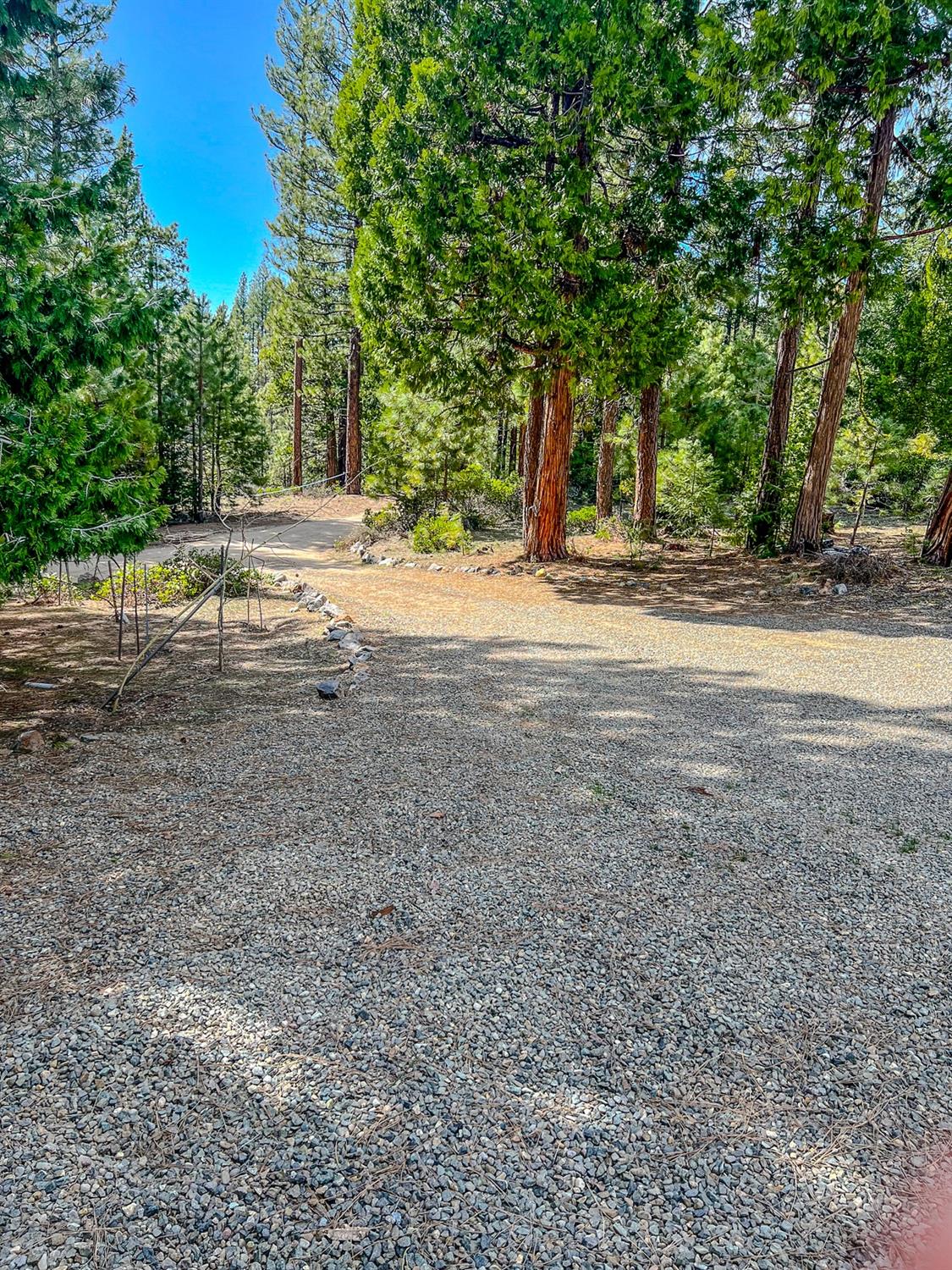 Detail Gallery Image 35 of 37 For 1201 Red Fox Rd, Clio,  CA 96106 - 3 Beds | 2/1 Baths
