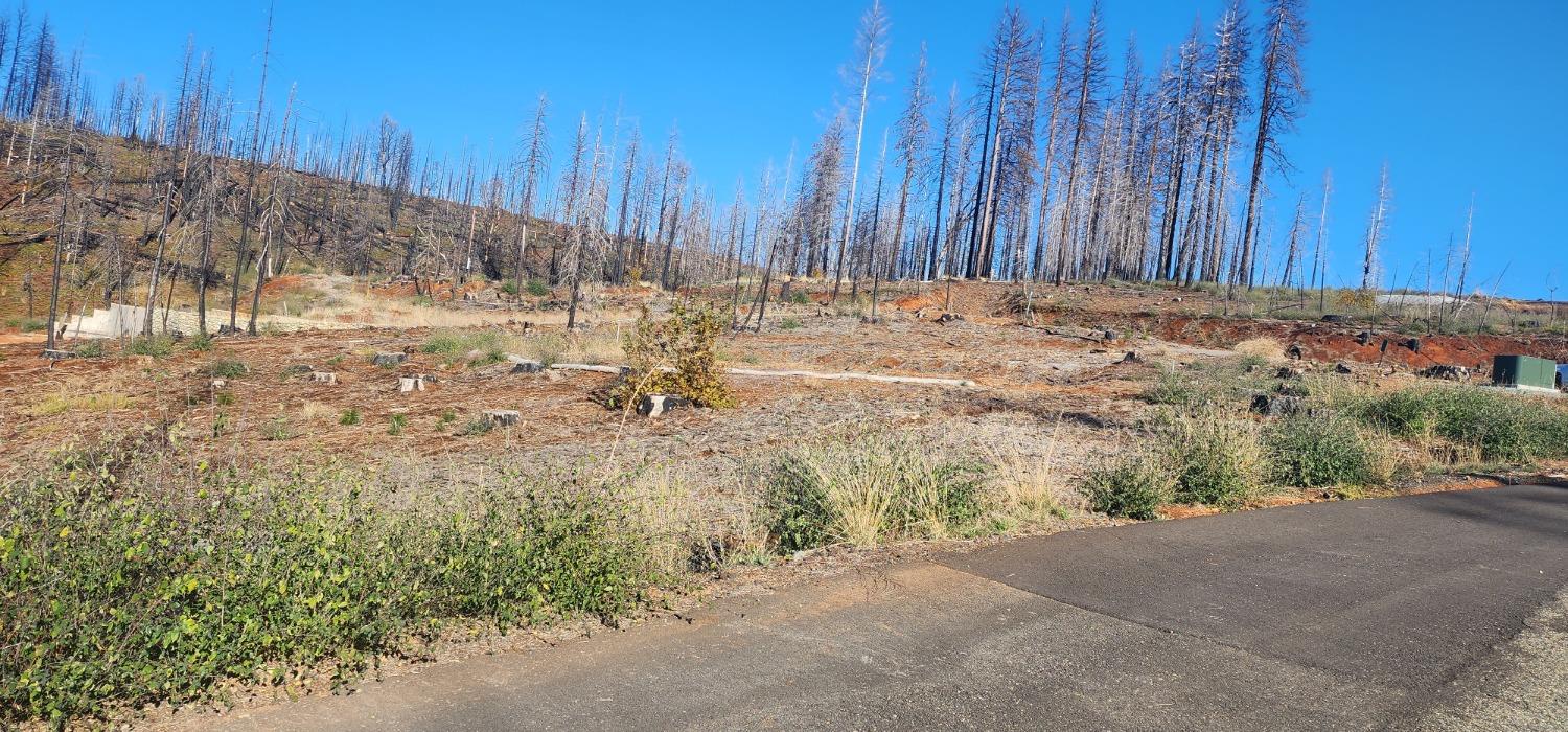 Rollingwood Court, Grizzly Flats, California image 5