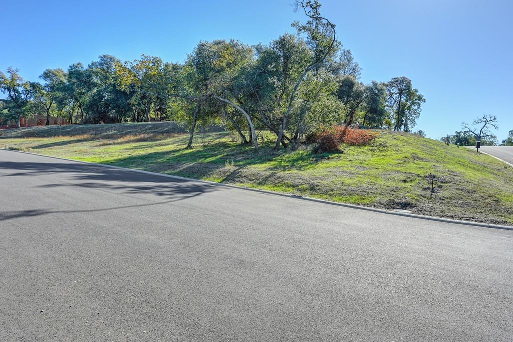 Raphael Drive, El Dorado Hills, California image 40