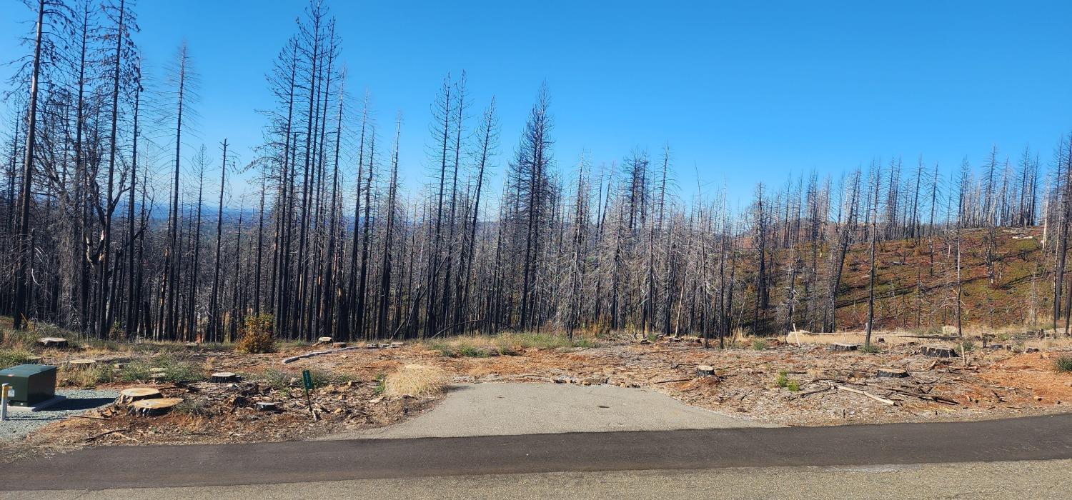 Rollingwood Court, Grizzly Flats, California image 1