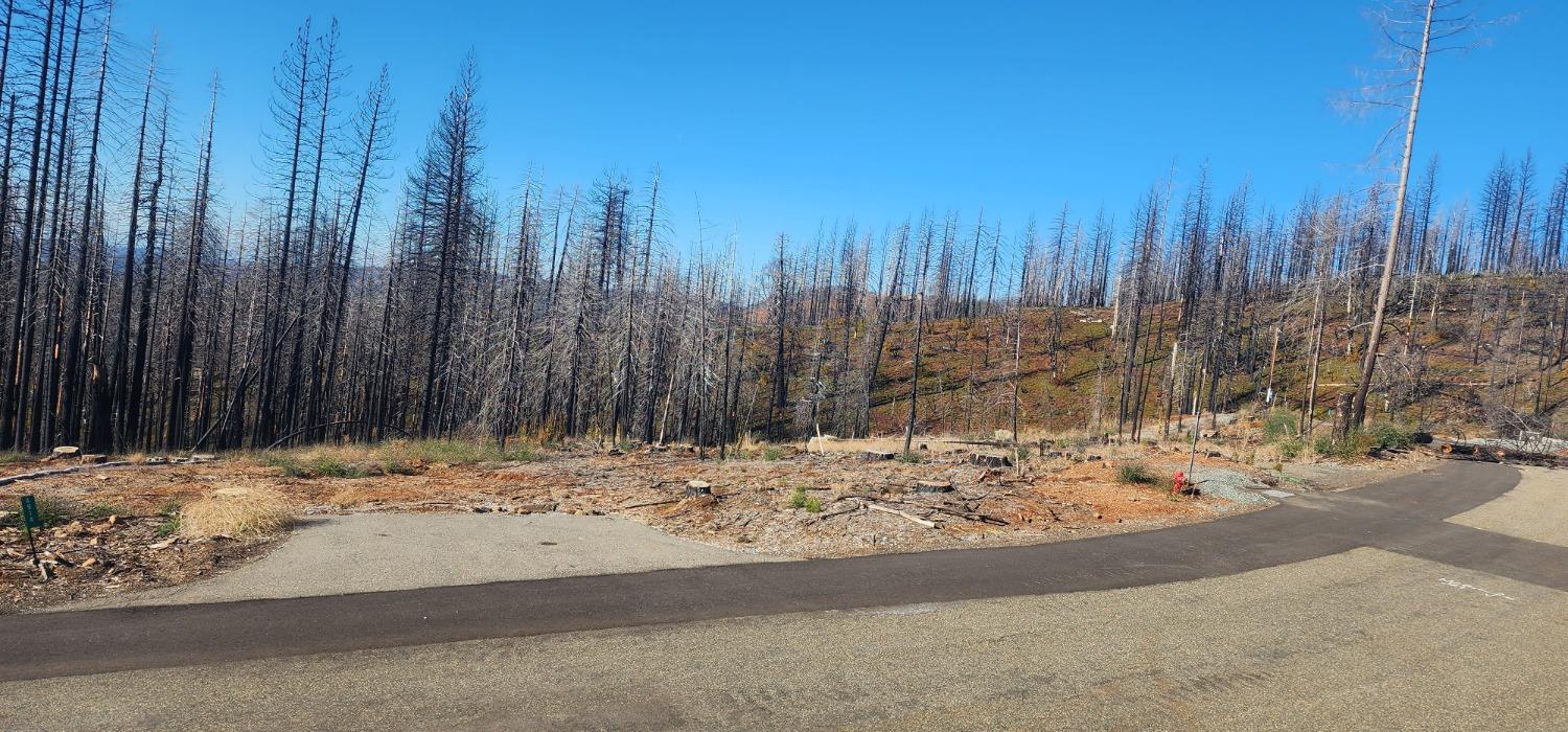 Rollingwood Court, Grizzly Flats, California image 3