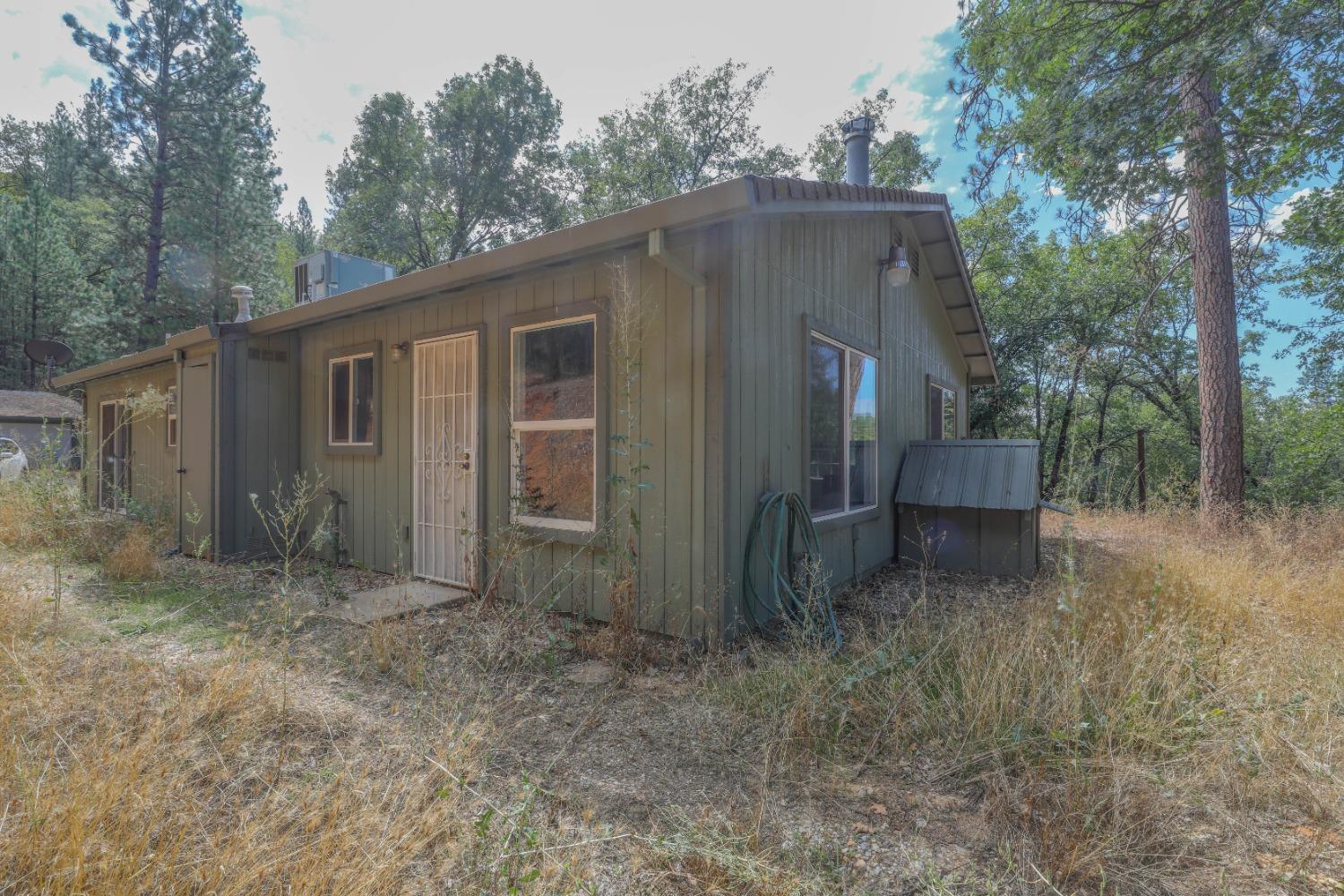 Timber Lane, West Point, California image 6