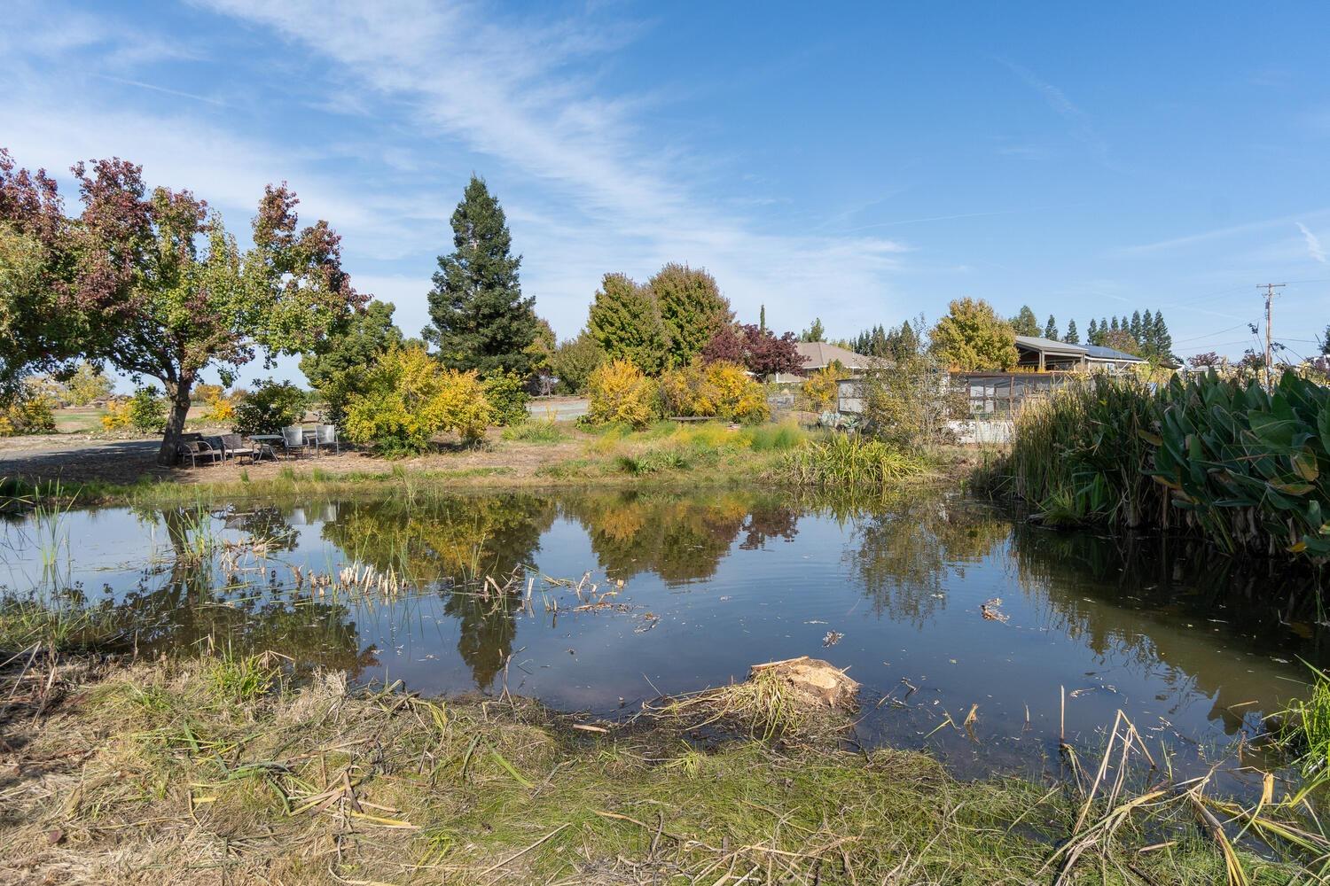 Indio Drive, Sloughhouse, California image 6