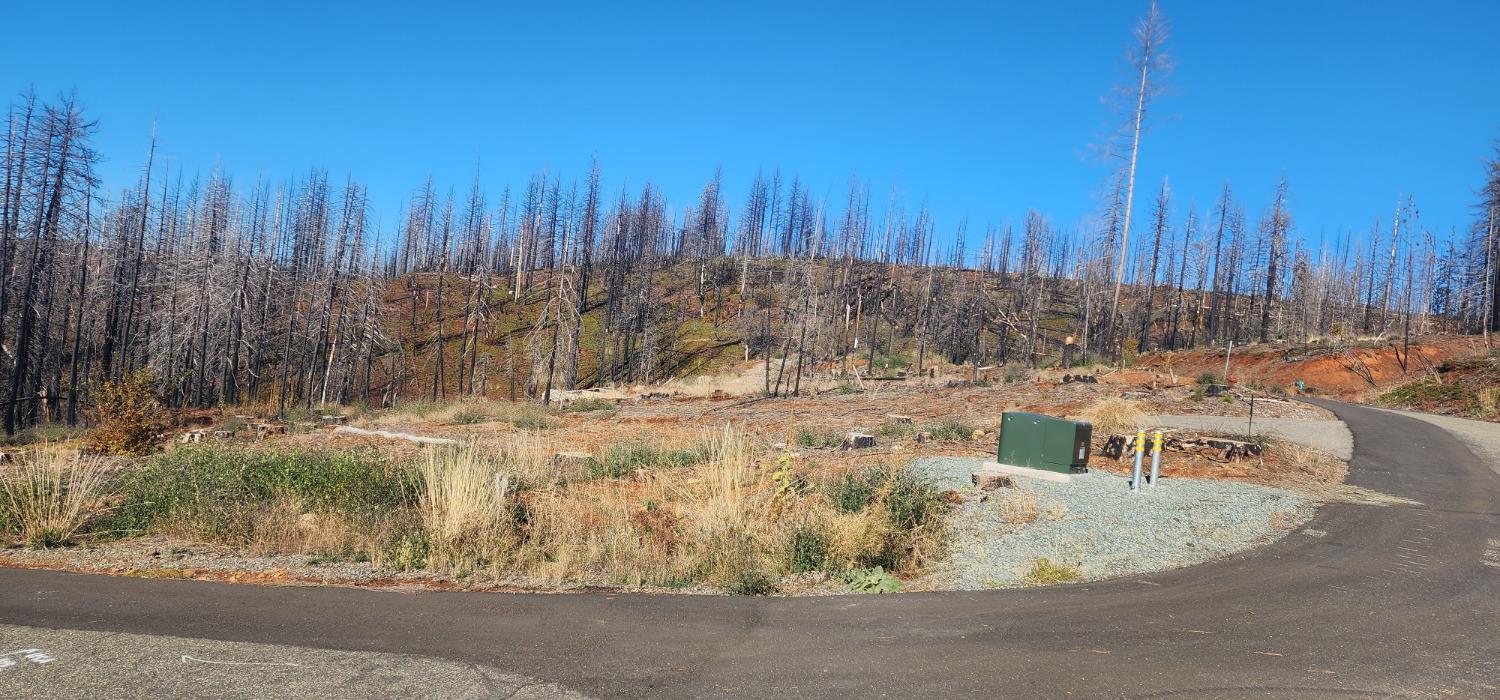 Rollingwood Court, Grizzly Flats, California image 6