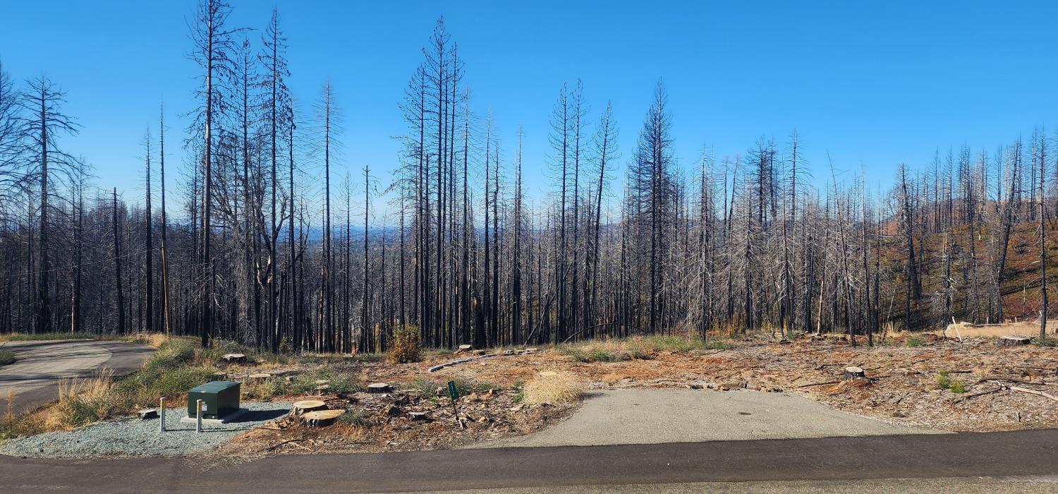 Rollingwood Court, Grizzly Flats, California image 2