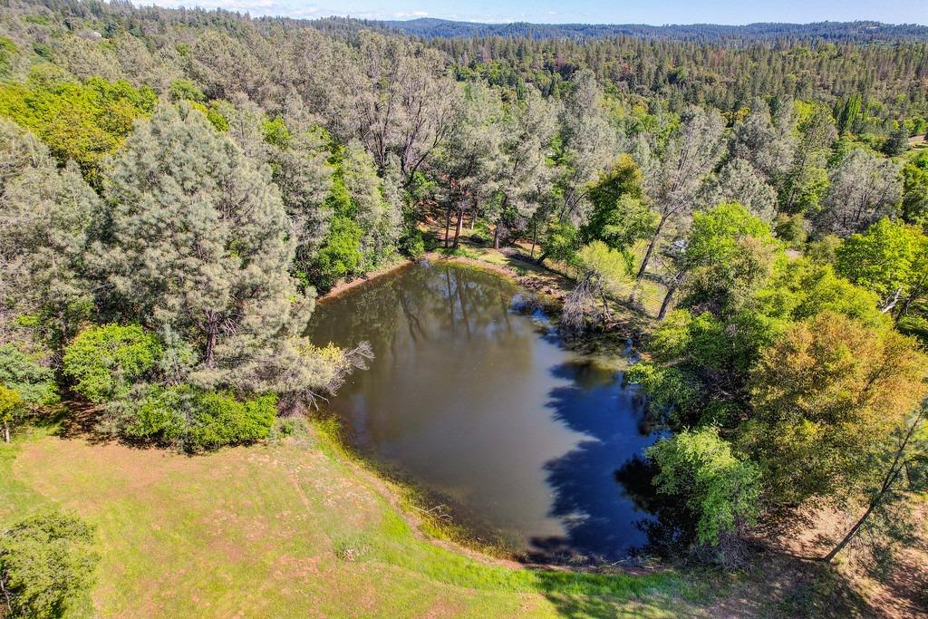 Detail Gallery Image 65 of 67 For 2721 Dyer Way, Placerville,  CA 95667 - 3 Beds | 2 Baths