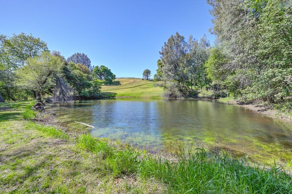 Detail Gallery Image 50 of 67 For 2721 Dyer Way, Placerville,  CA 95667 - 3 Beds | 2 Baths