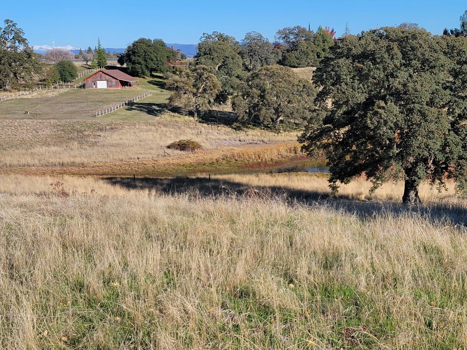 Photo of 10-Acres Horizon Dr in Placerville, CA