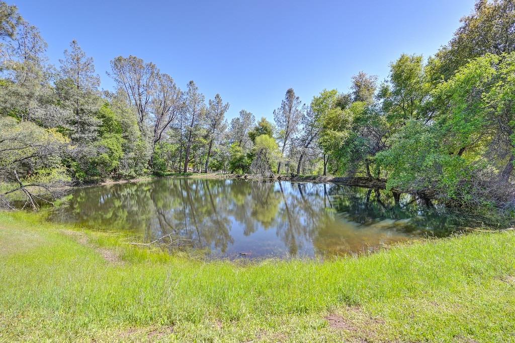 Detail Gallery Image 43 of 67 For 2721 Dyer Way, Placerville,  CA 95667 - 3 Beds | 2 Baths