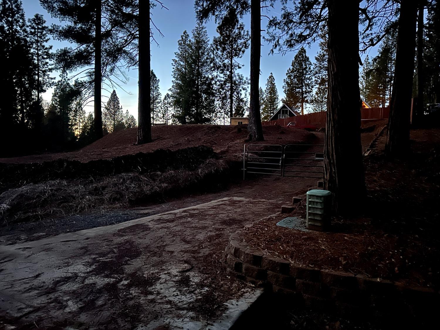 Sugar Pine Drive, Pioneer, California image 12