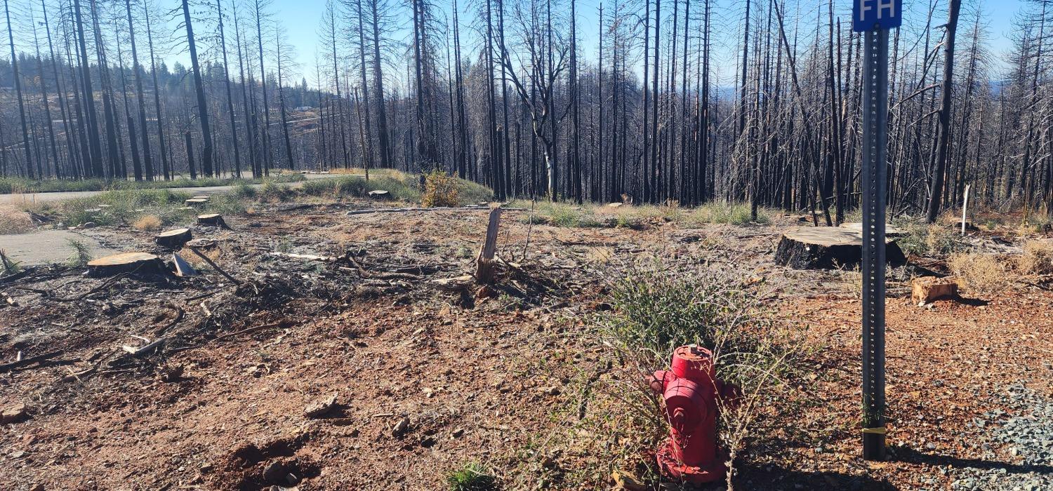 Rollingwood Court, Grizzly Flats, California image 9