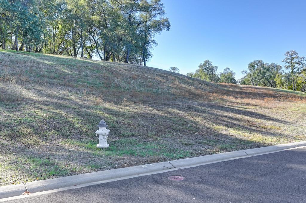 Raphael Drive, El Dorado Hills, California image 21