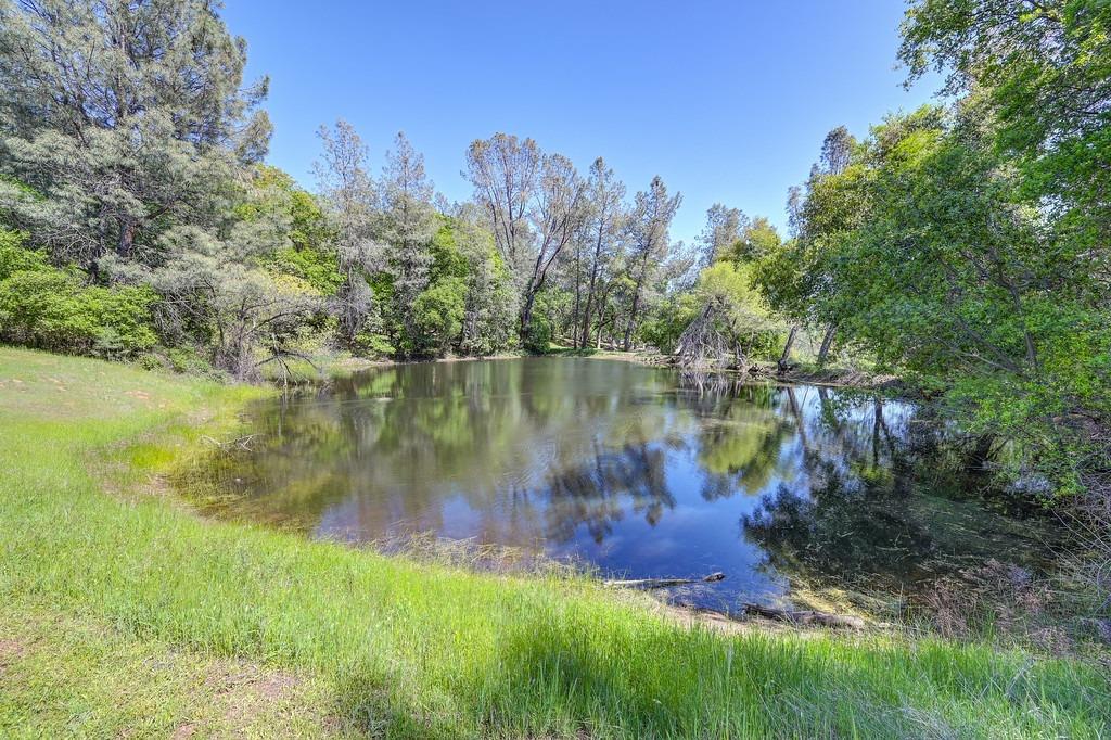 Detail Gallery Image 3 of 67 For 2721 Dyer Way, Placerville,  CA 95667 - 3 Beds | 2 Baths