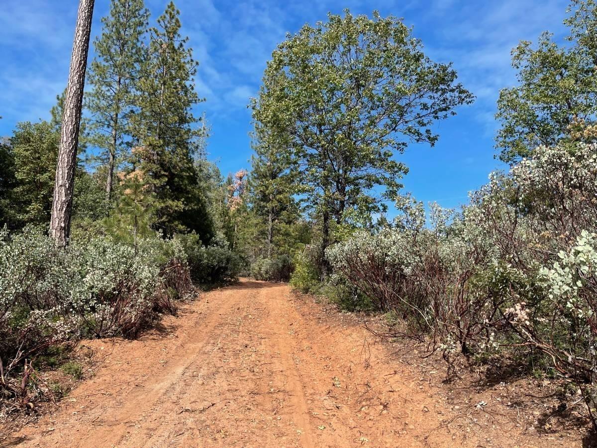 Detail Gallery Image 4 of 15 For 0 Grizzly Hill Rd, Nevada City,  CA 95959 - – Beds | – Baths