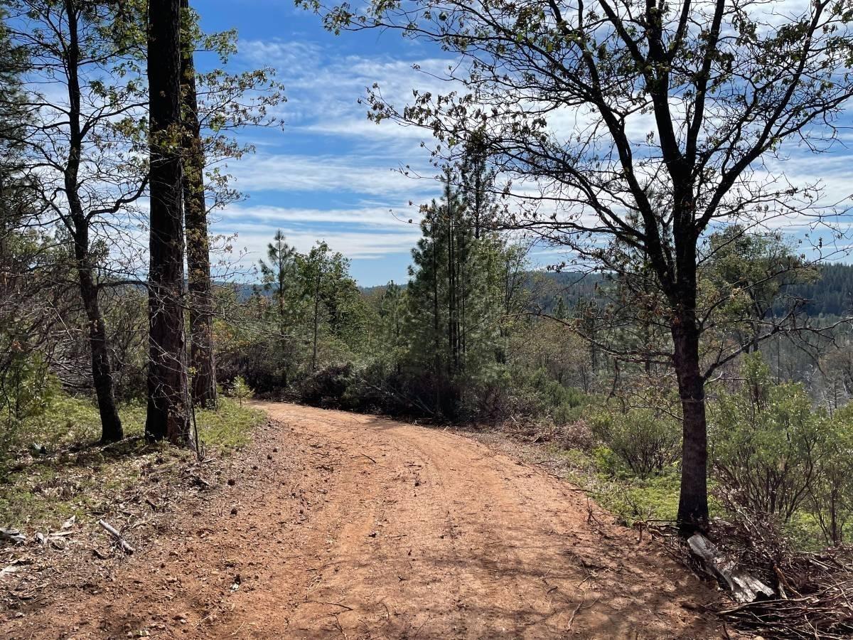 Detail Gallery Image 2 of 15 For 0 Grizzly Hill Rd, Nevada City,  CA 95959 - – Beds | – Baths