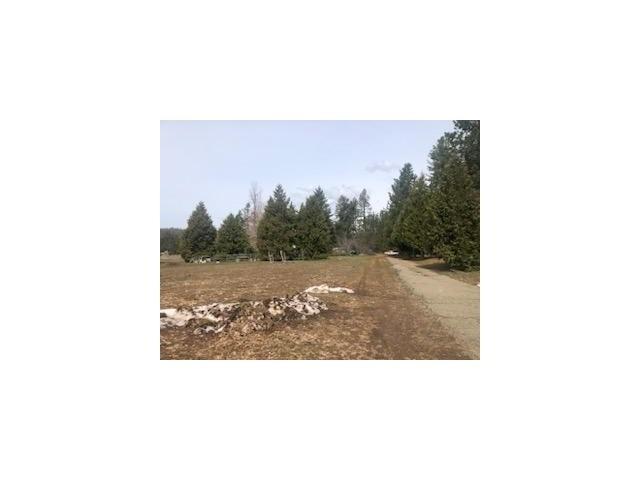 Holtzel Road, Coulterville, California image 4