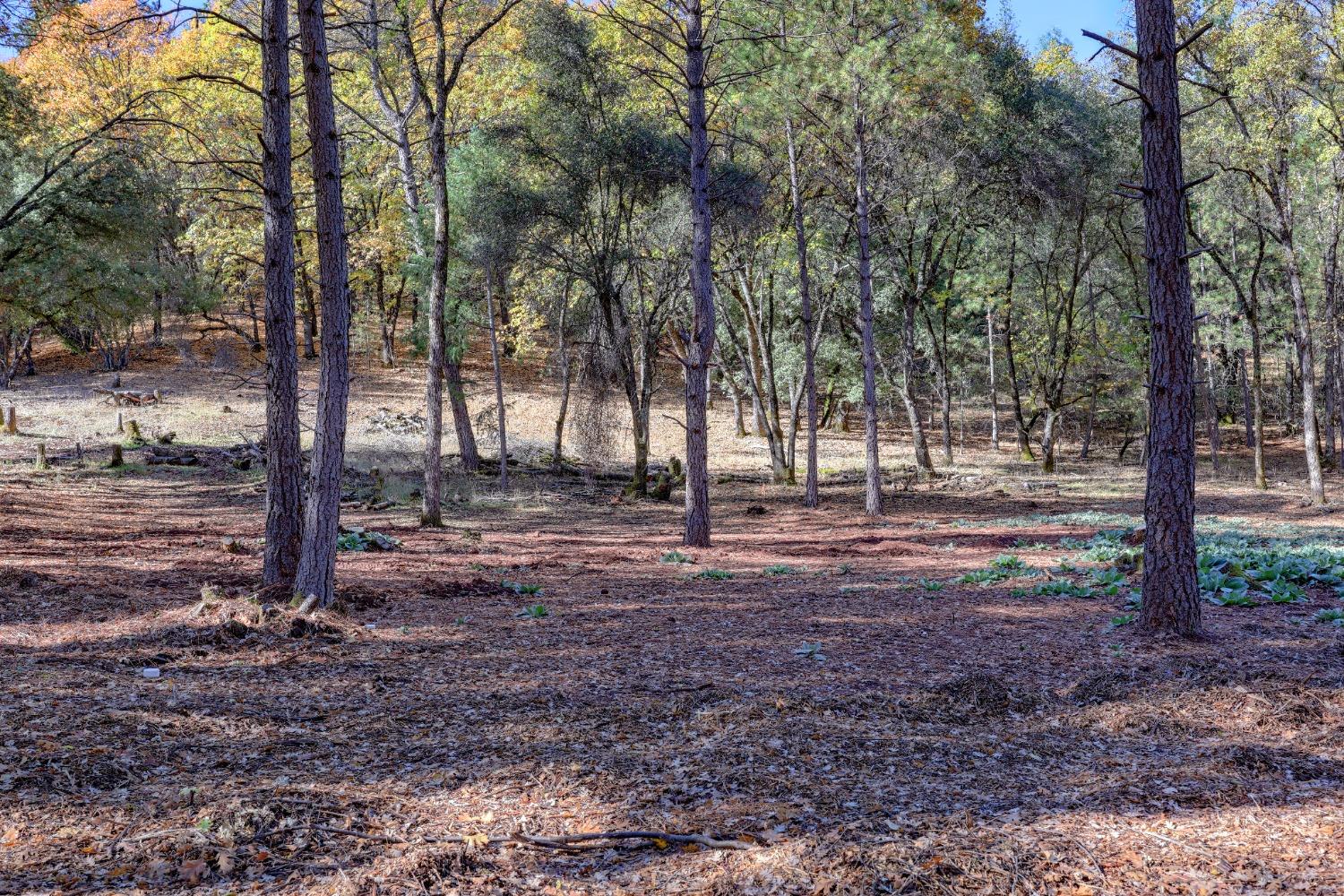 Spring Ranches Road, Grass Valley, California image 13