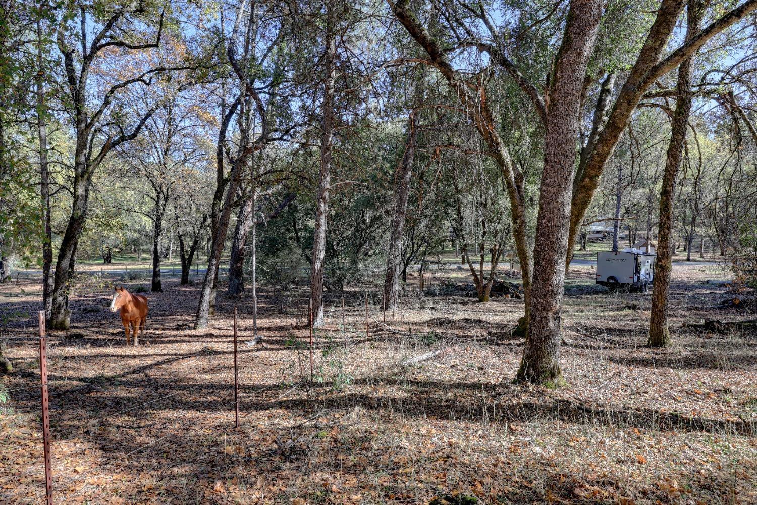 Spring Ranches Road, Grass Valley, California image 25