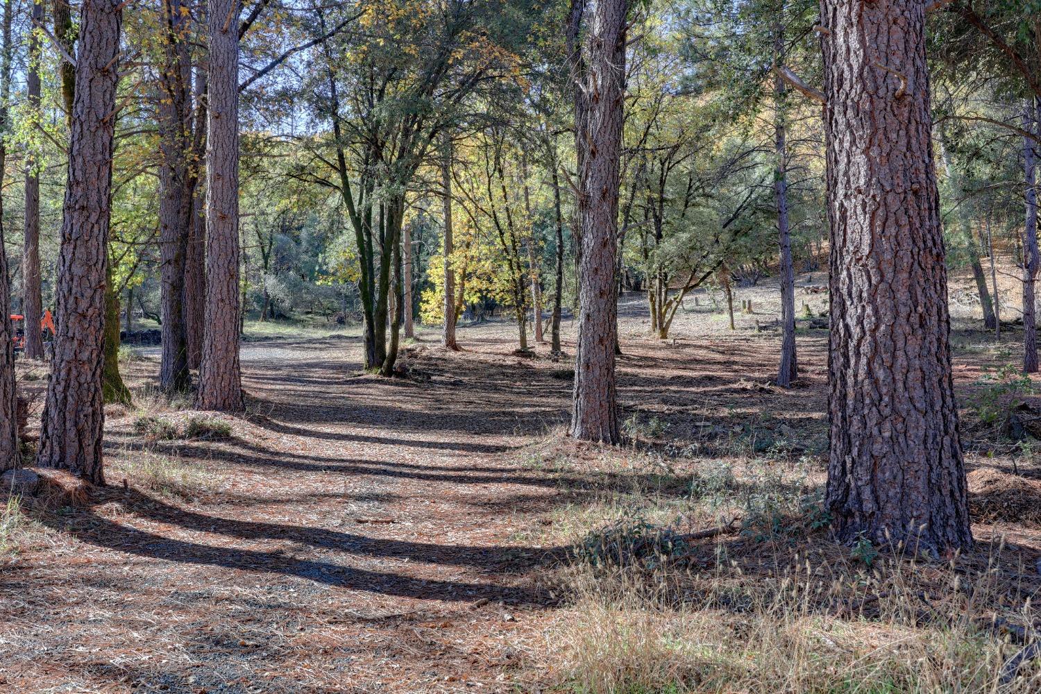 Spring Ranches Road, Grass Valley, California image 12